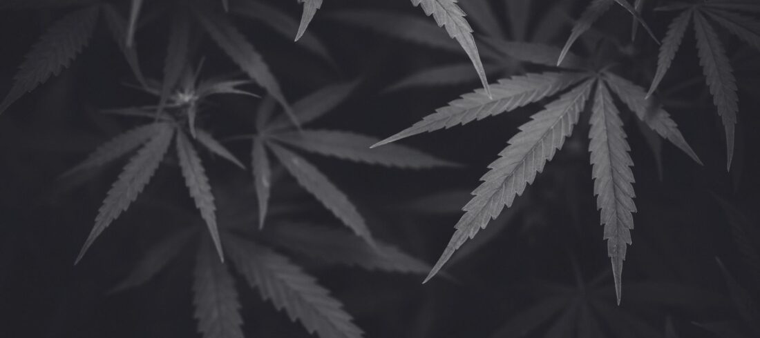 Handeltreiben mit Cannabis Strafverfahren in Rastatt wegen Handeltreiben mit Cannabis