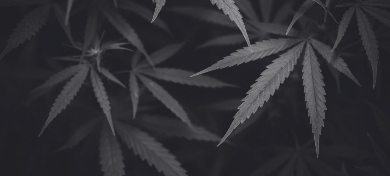 Strafverfahren in Rastatt wegen Handeltreiben mit Cannabis